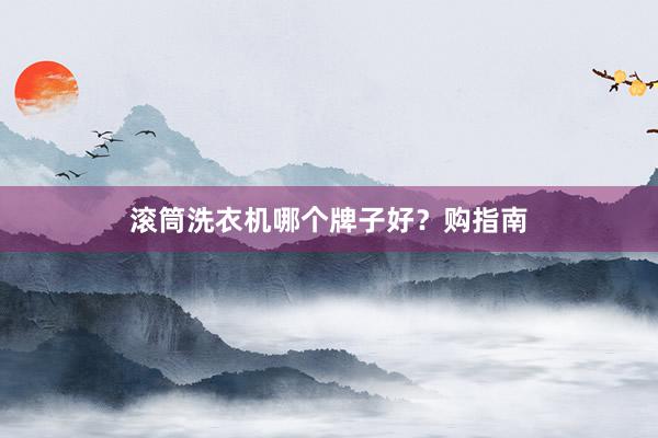 滚筒洗衣机哪个牌子好？购指南